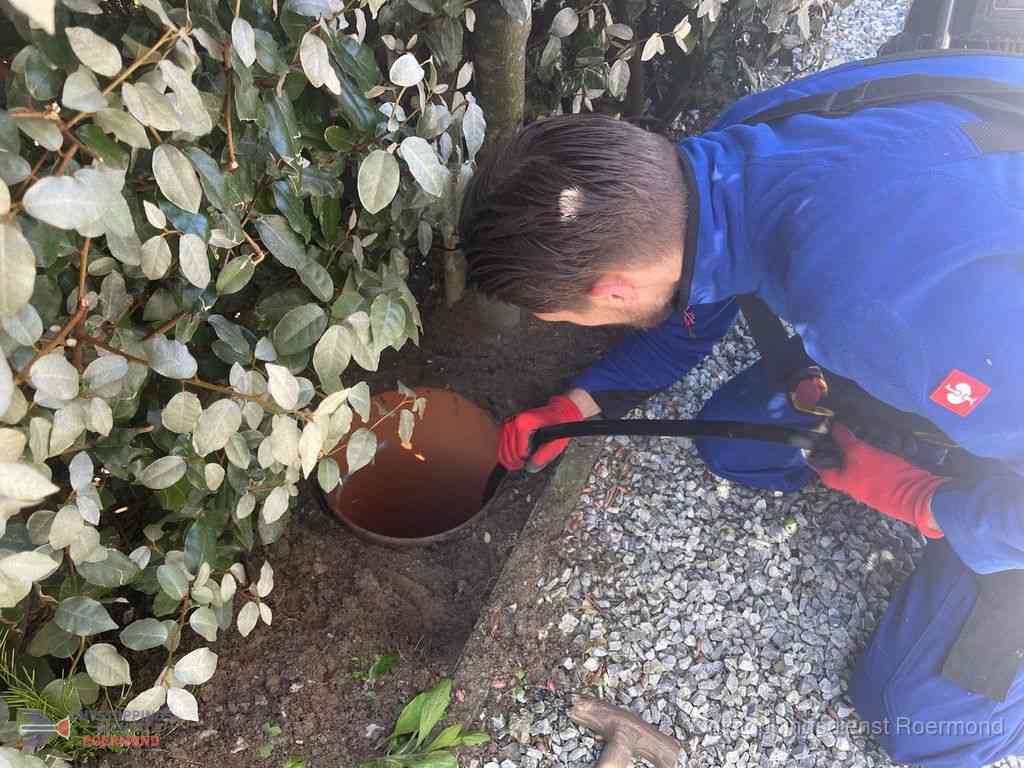 Rioolvliegjes Roermond Rioolvliegjes Roermond